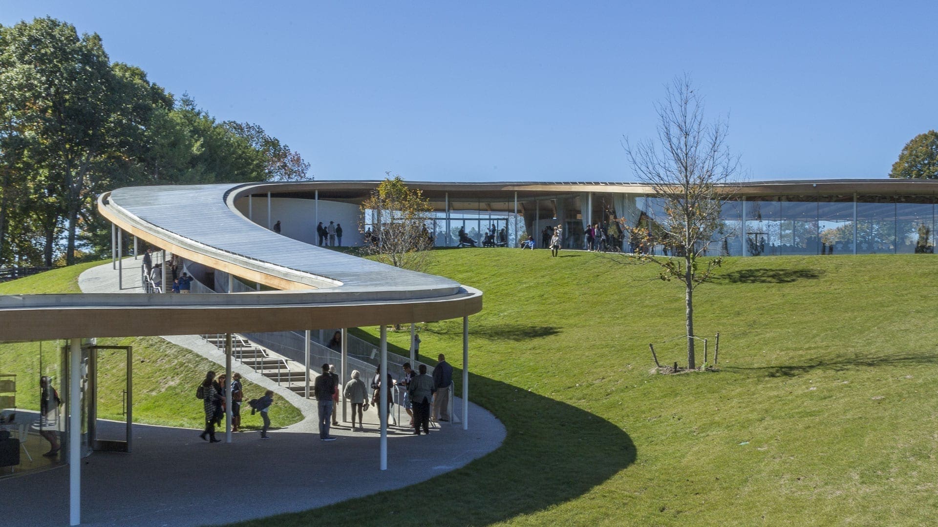 Grace Farms roof winds its way up the hill.