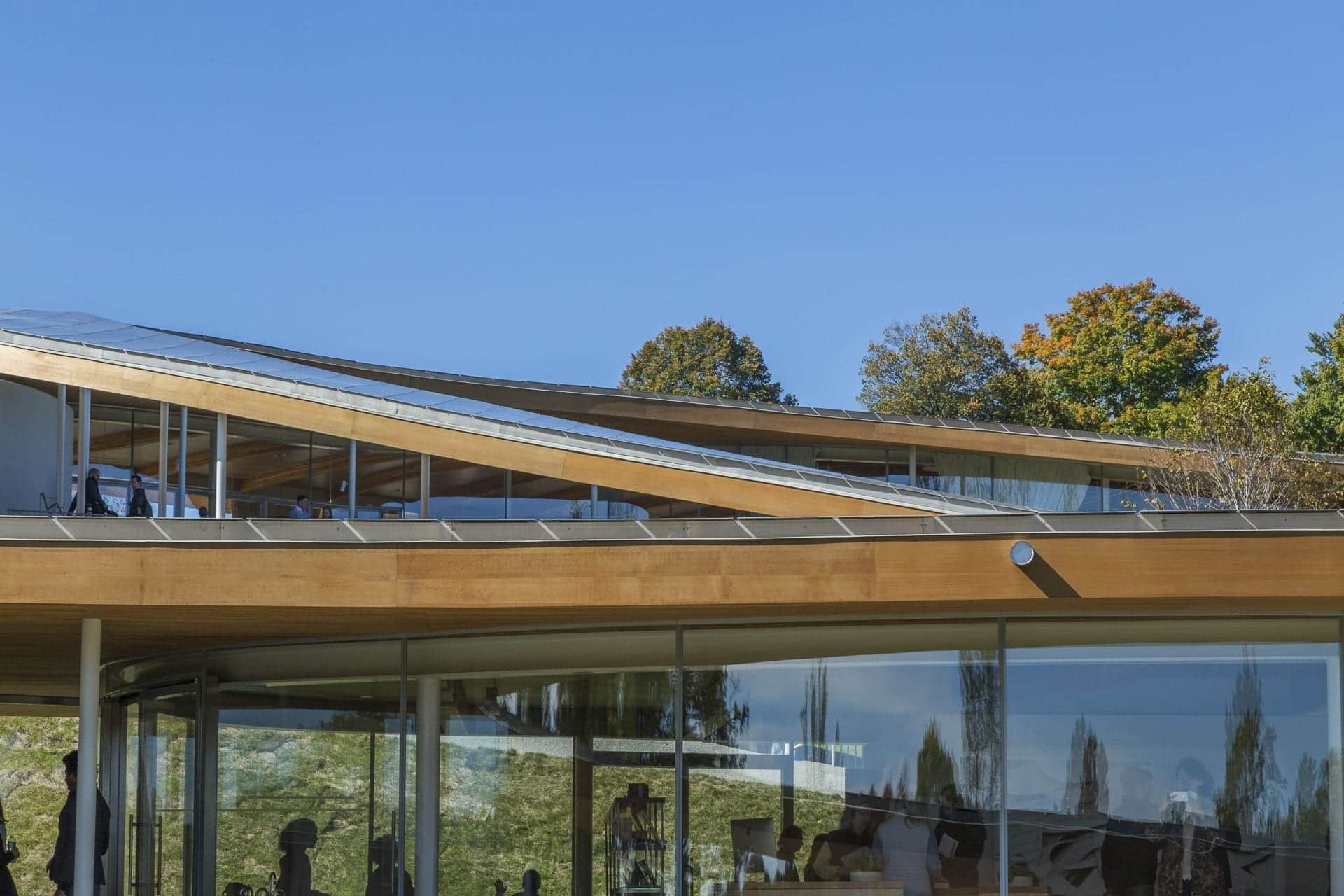 Profile of the roof detail at Grace Farms.