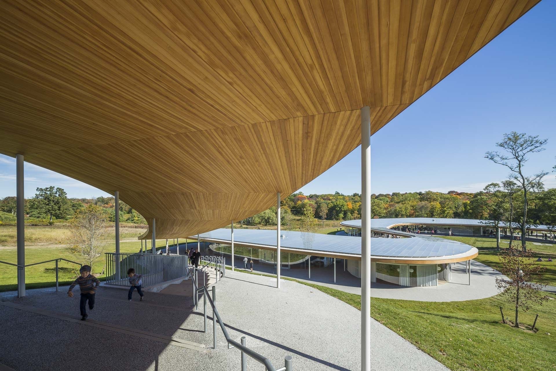 Wood panel ceiling provides a canopy for The River at Grace Farms
