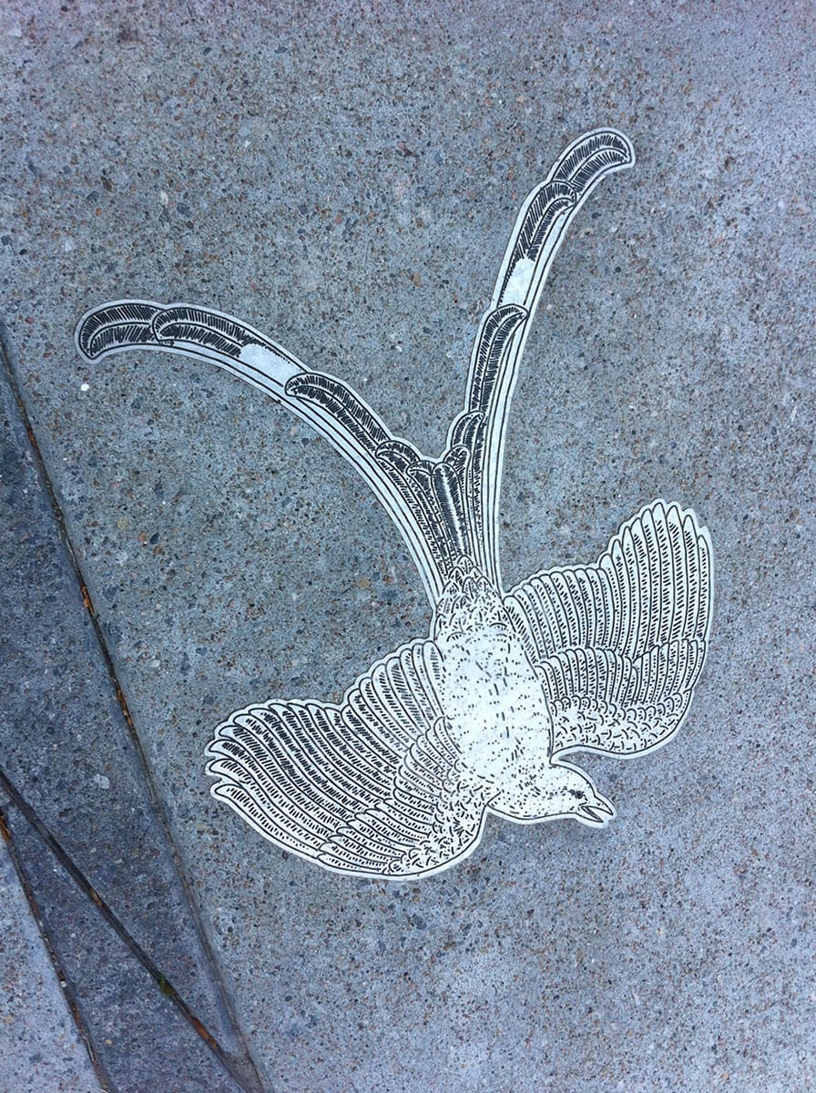 Stainless steel birds CNC-cut and etched by Zahner.
