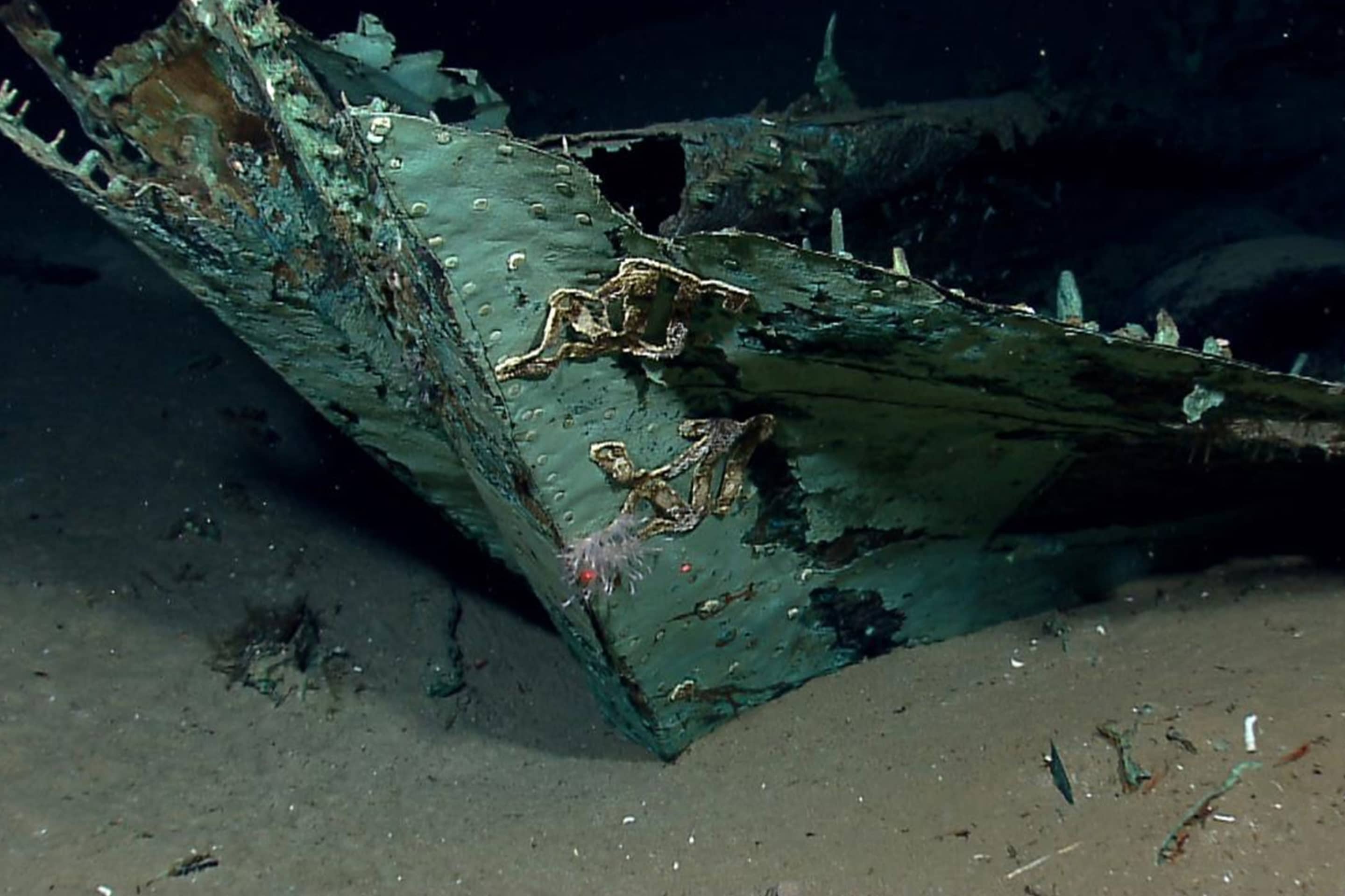 copper-seathing-historic The remains of an early-19th century wooden ship.