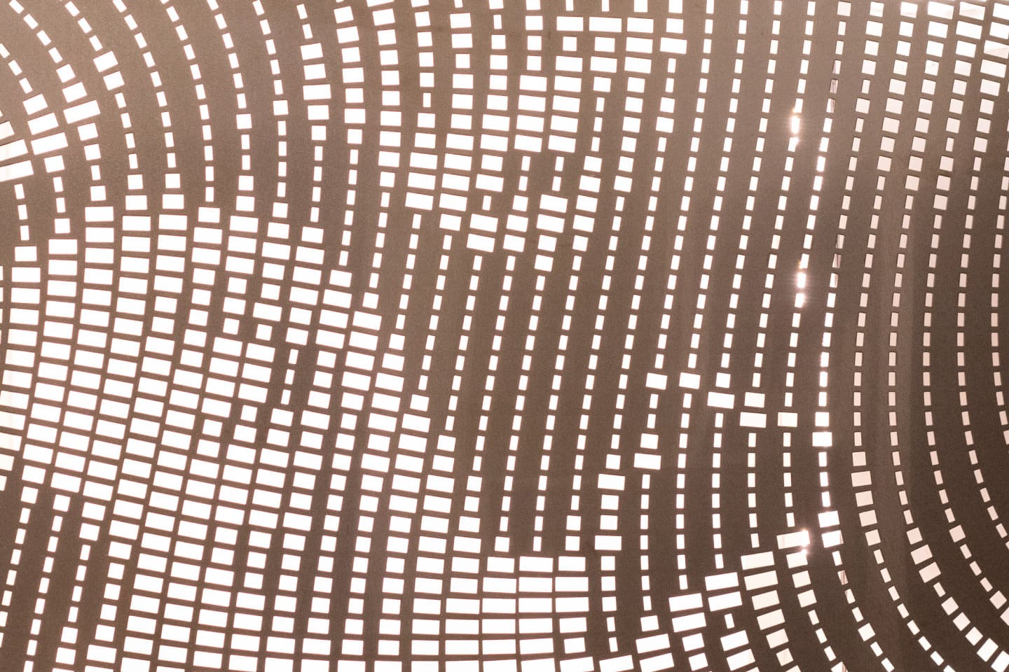 ImageLines Zaha Hadid portrait with backlighting.