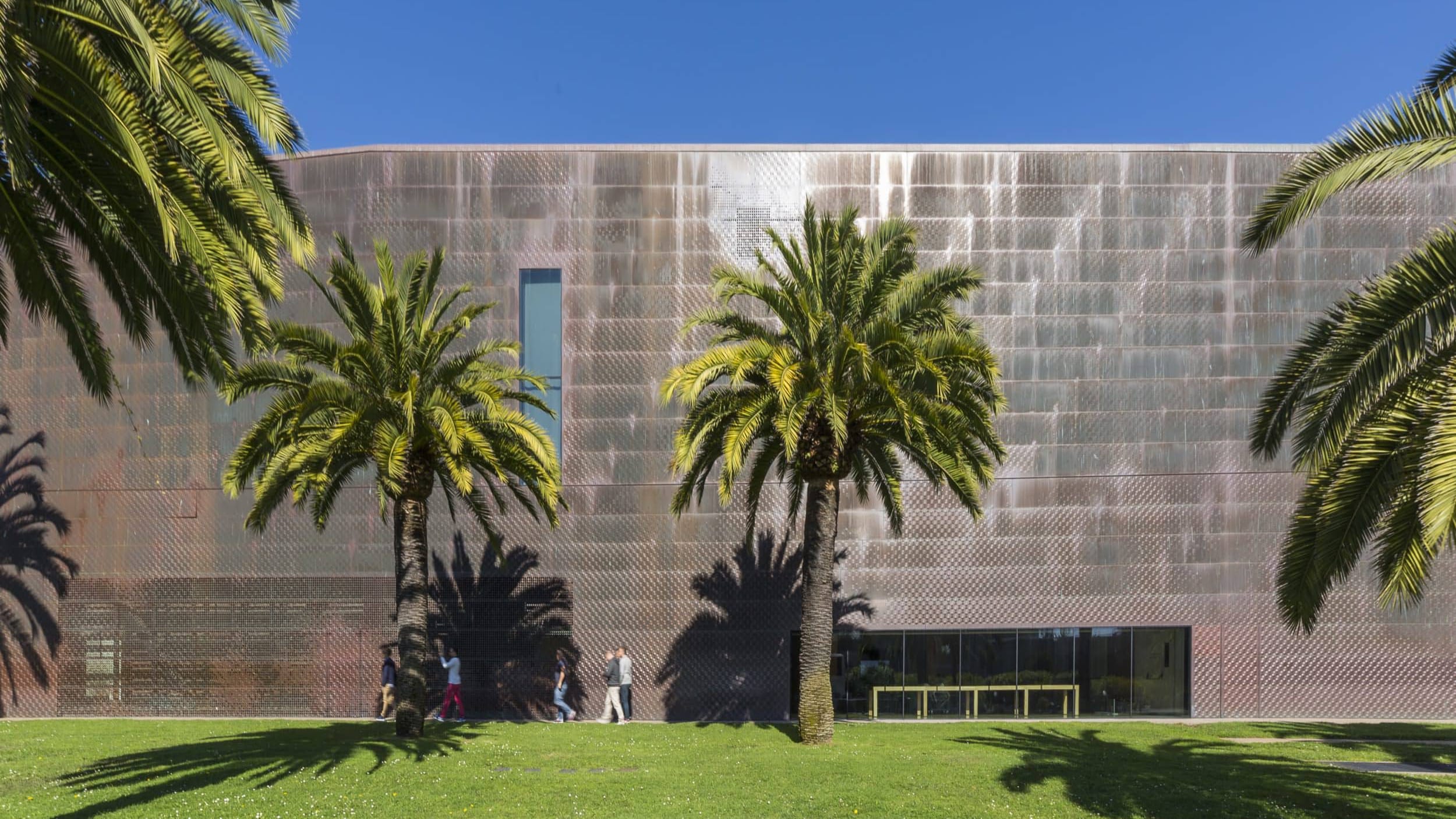 deyoung-img-copyr-zahner-6392-min