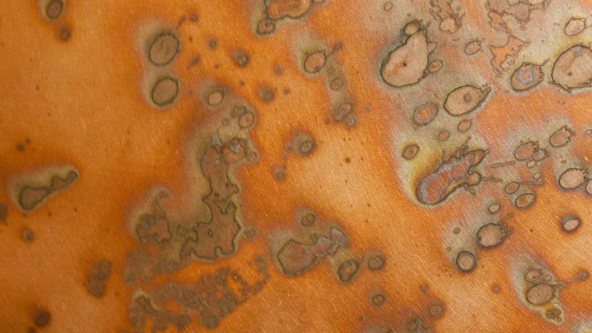 bc289a25-8128-4bc2-84fe-34a806d65a79_copper-orange-space-1