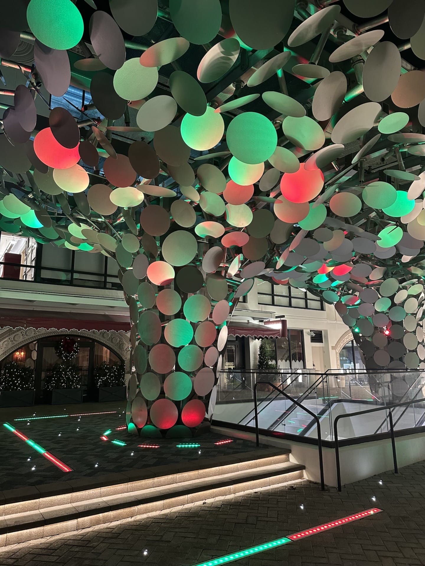 IMG_6119_min In-ground lighting brings the canopy to life at night.